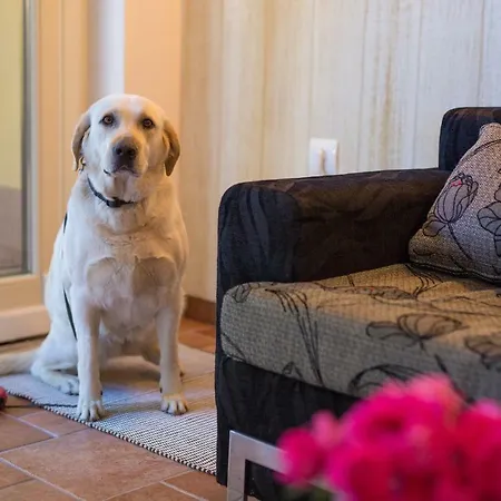 Summer House Magdalena 別荘