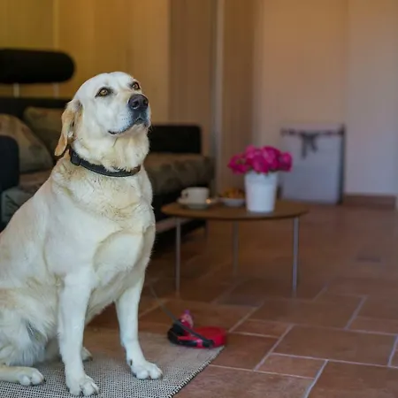 בית נופש Summer House Magdalena *